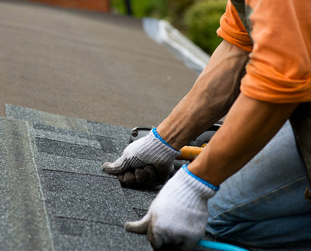 Roof Gutter Cleaning in Gwinn, MI